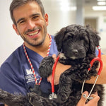 Dr. Michael Hayes