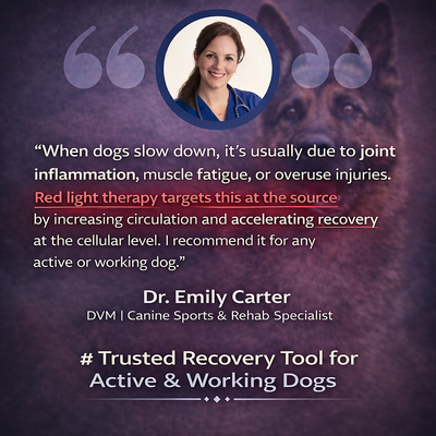 Help your dog move comfortably again with soothing red light therapy for joints and muscles