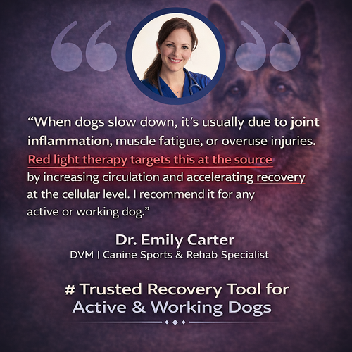 Help your dog move comfortably again with soothing red light therapy for joints and muscles