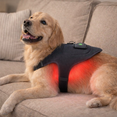 Help your dog move comfortably again with soothing red light therapy for joints and muscles